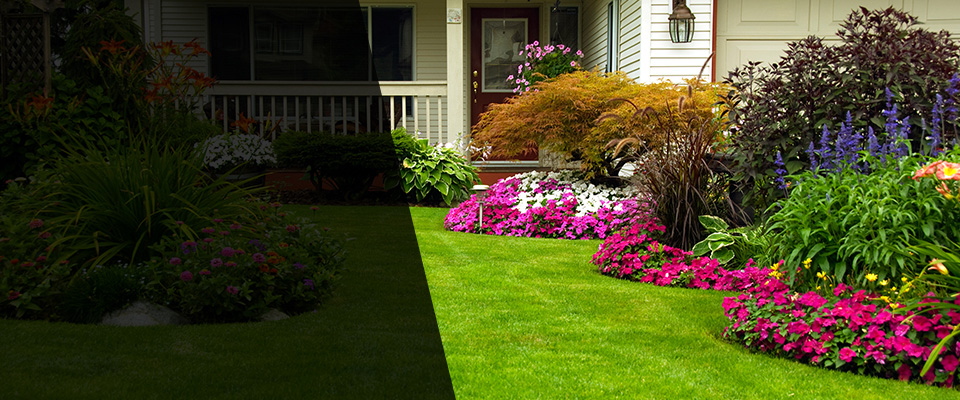 North Berwick Landscapers