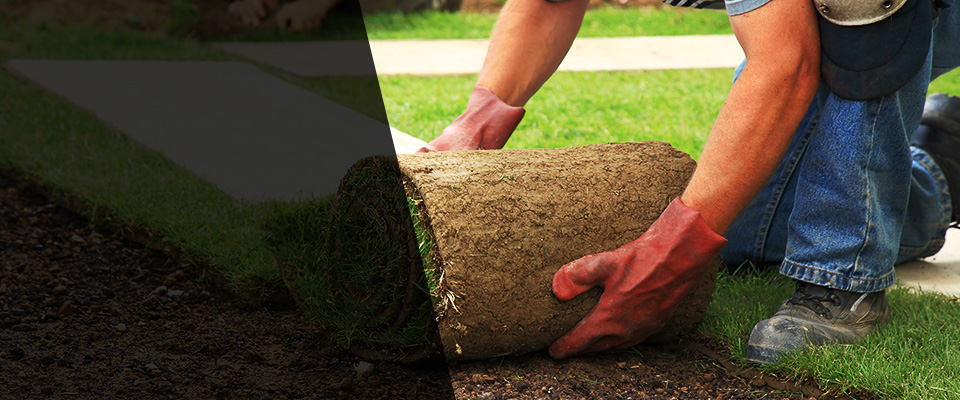 North Berwick Landscapers
